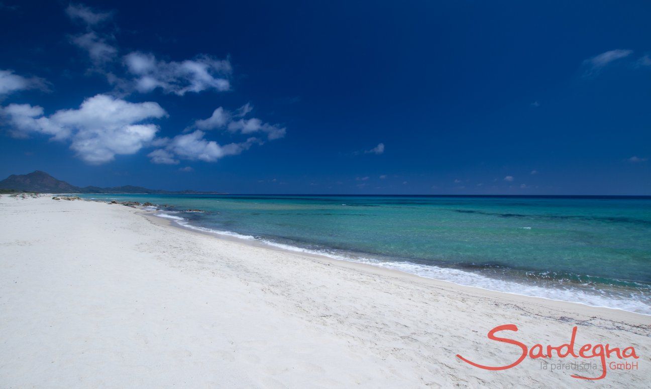 Sandy beach and blue sea