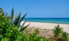 Beach in front of the house 