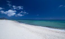 Sandy beach and blue sea